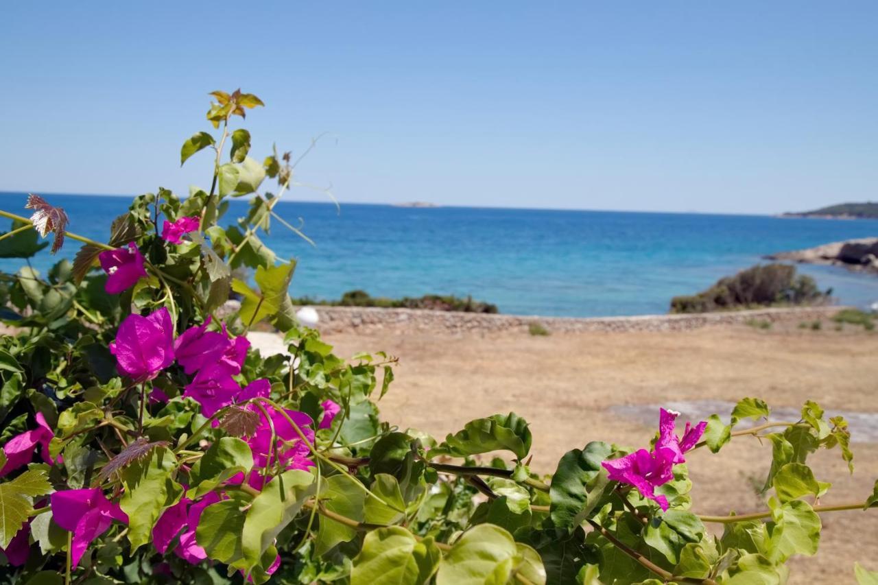 Aroura Homes 4Br Beachfront Villa Spetses Town Bagian luar foto